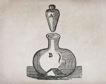 Load image into Gallery viewer, The Botanical Perfume Immersion: Live + Online