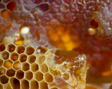 Load image into Gallery viewer, To Bee Solid Natural Perfume in Round Jar