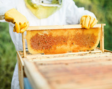 Load image into Gallery viewer, To Bee Solid Natural Perfume in Round Jar