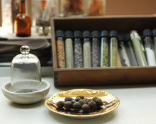 Load image into Gallery viewer, Scents of the Desert: Incense, Alchemy & the Plants of New Mexico