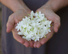 Load image into Gallery viewer, Fleurish Solid Natural Perfume in Round Jar