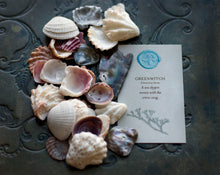 Load image into Gallery viewer, GreenWitch Solid Natural Perfume Round Jar