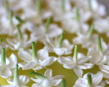 Load image into Gallery viewer, Page 47 Solid Natural Perfume Round Jar