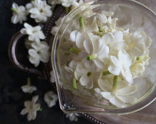 Load image into Gallery viewer, Cimbalom Natural Botanical Perfume 4 grams in Classic Bottle