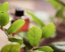 Load image into Gallery viewer, Q Botanical Perfume Rectangular bottle, 4 grams