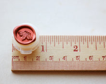 Load image into Gallery viewer, Solid Perfume Discovery Set of Five