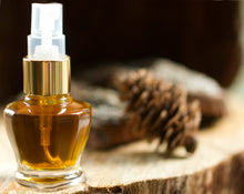 Load image into Gallery viewer, Terrestre Natural Botanical Eau de Parfum / Spray