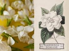 Load image into Gallery viewer, Gardenia Flower Pomade
