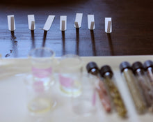 Load image into Gallery viewer, Scents of the Desert: Perfume, Alchemy &amp; the Plants of New Mexico
