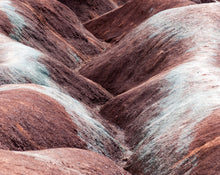Load image into Gallery viewer, Fragrant Notes
