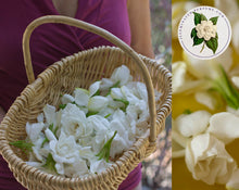 Load image into Gallery viewer, Gardenia Flower Pomade
