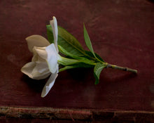 Load image into Gallery viewer, Gardenia Flower Pomade
