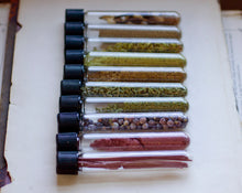 Load image into Gallery viewer, Scents of the Desert: Incense, Alchemy &amp; the Plants of New Mexico
