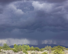 Load image into Gallery viewer, Scents of the Desert: Incense, Alchemy &amp; the Plants of New Mexico
