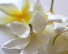 Load image into Gallery viewer, Custom Perfume Mini Session for Three

