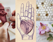Load image into Gallery viewer, Rosa Solid Natural Perfume in Round Jar
