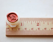 Load image into Gallery viewer, Lyra Solid and Liquid Natural Perfume Sample Set
