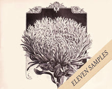 Load image into Gallery viewer, Solid &amp; Liquid Perfume Discovery of Eleven
