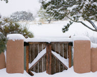 WINTER essence discovery set of four