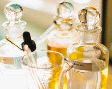 Load image into Gallery viewer, Chords and Fragrance Families: The Vocabulary of Botanical Perfume
