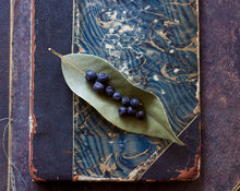 Load image into Gallery viewer, Sir Leaf &amp; Madame Berry, Bay Rum Cologne 4 grams
