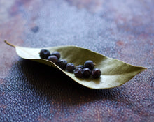 Load image into Gallery viewer, Sir Leaf &amp; Madame Berry, Bay Rum Cologne 4 grams
