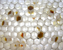 Load image into Gallery viewer, To Bee Liquid Natural Perfume 4 grams
