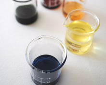 Load image into Gallery viewer, Art of Botanical Perfume One Day Workshop
