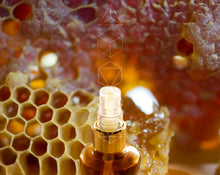 Load image into Gallery viewer, To Bee Eau de Parfum 4 grams, a botanical spray perfume
