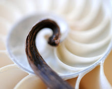 Load image into Gallery viewer, Page 47 Solid Natural Perfume Round Jar
